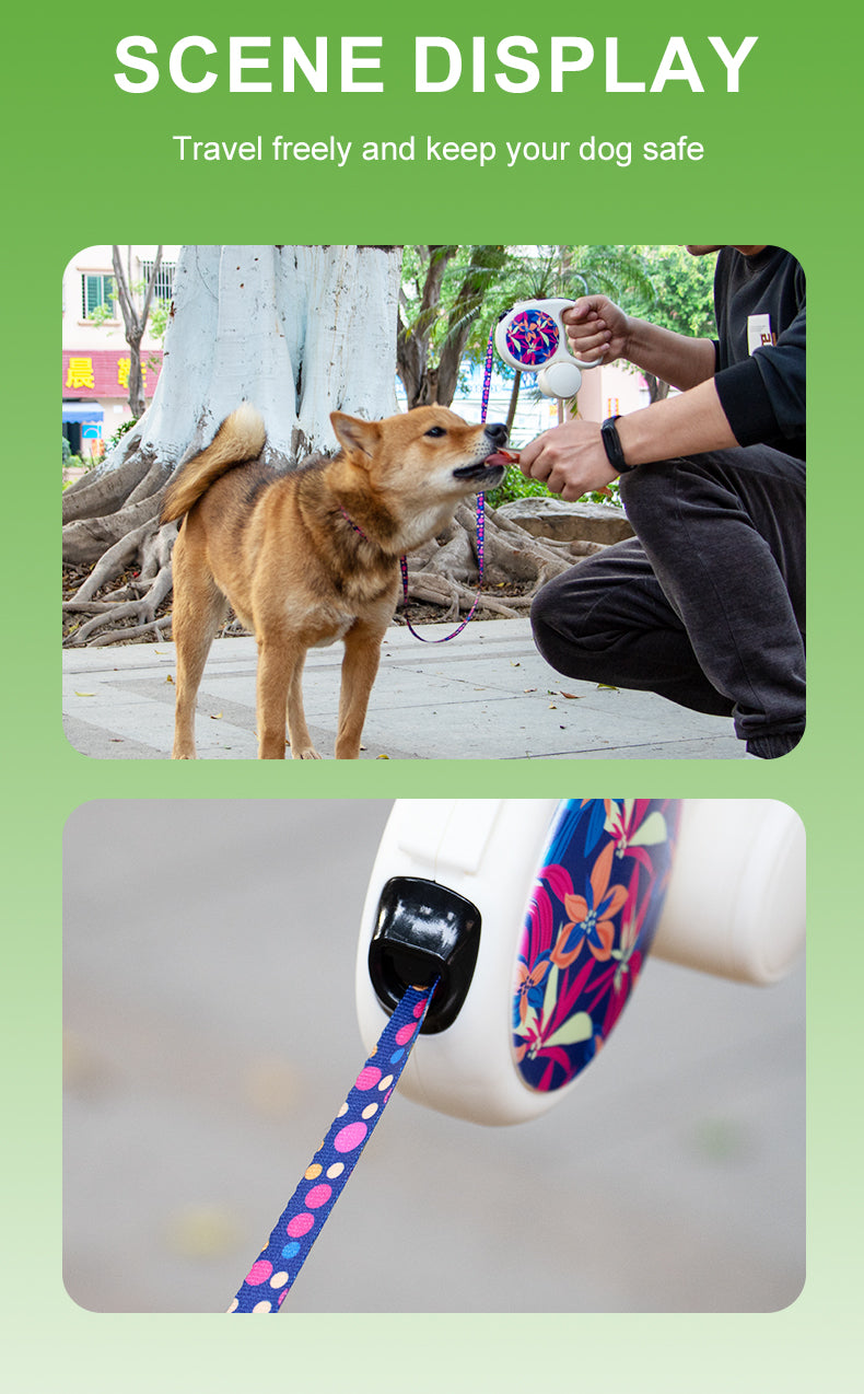 Hot Sell Factory Retractable Dog Leash Adjustable Dog Leads Retractable Pet Leash with Colorful Printed