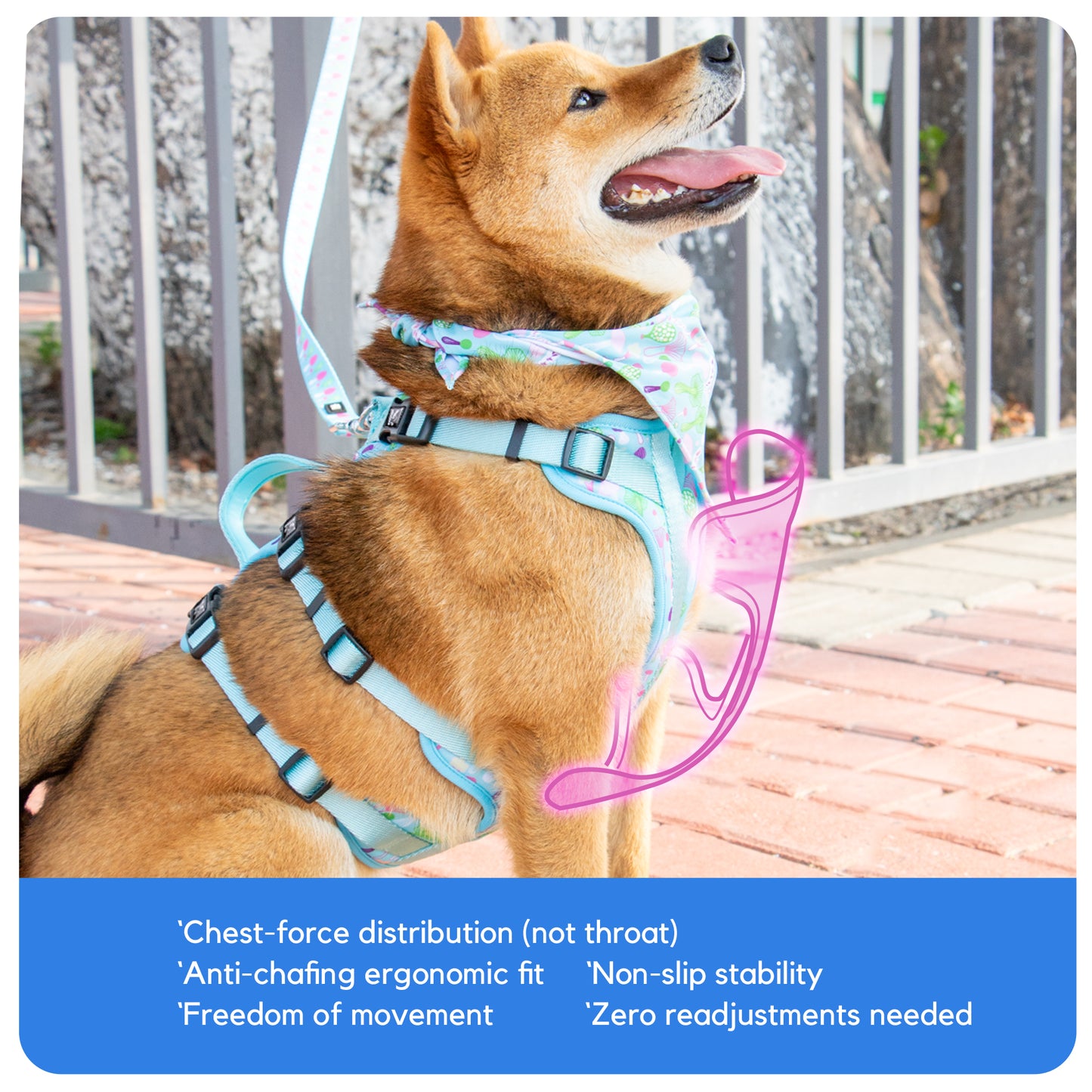 Factory Price Kingspeed Dog Vest Luxury Puppy Harness With Printing No Pull Dog Harness