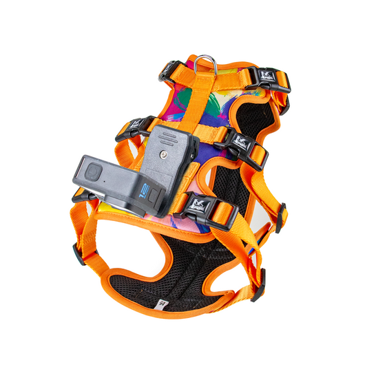 Kingspeed Custom Oil Paint Dog Vest Puppy Harness With Colorful Printing Dog Harness Hot Sell Pet Vest With Sport Camera