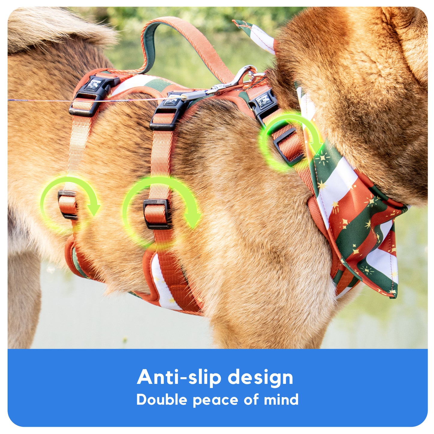 Factory Price Kingspeed Dog Vest Luxury Puppy Harness With Printing No Pull Dog Harness