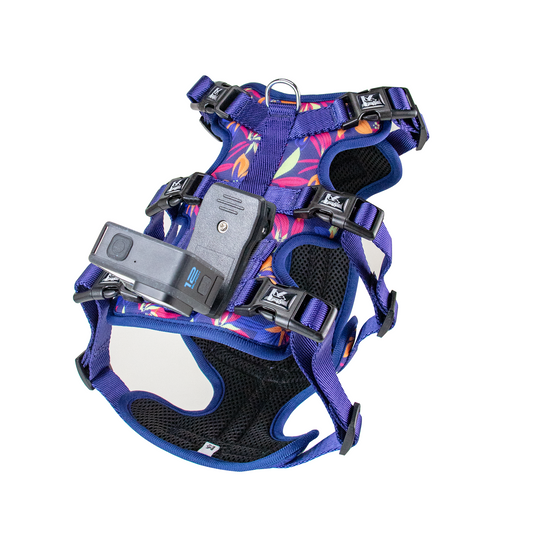 Kingspeed Custom Butterfly Dog Vest Puppy Harness With Colorful Printing Dog Harness Hot Sell Pet Vest With Sport Camera