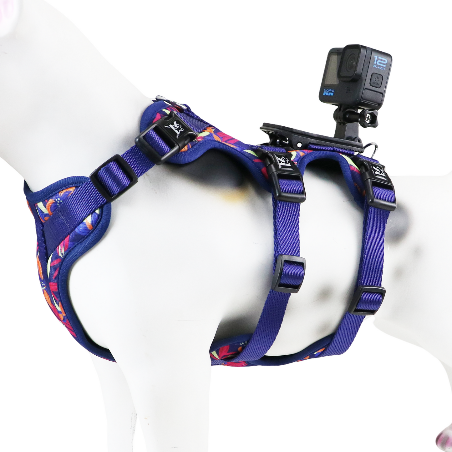 Kingspeed Custom Butterfly Dog Vest Puppy Harness With Colorful Printing Dog Harness Hot Sell Pet Vest With Sport Camera
