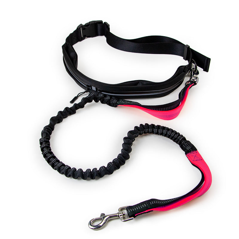 Pet Leashes Retractable Dog Leash with Zipper Bag