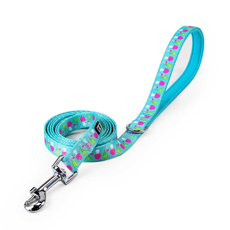 Latest Factory Price 1.5cm Durable Flower Printing Nylon Dog Leash Colorful Cat Leash Small Size Pet Leash