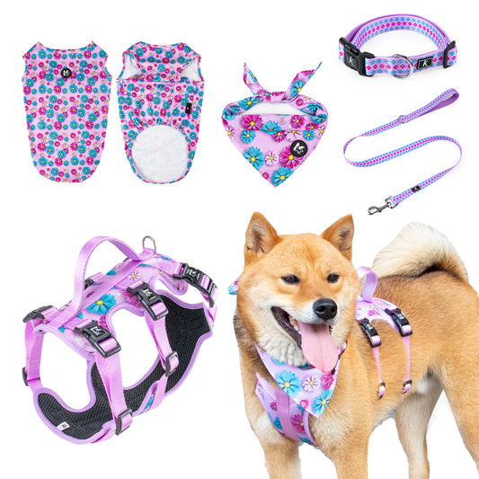 Best Seller Morning Sun Factory Kingspeed Dog Vest Dog Collar and Pet Leash with Dog Bandana for Walking