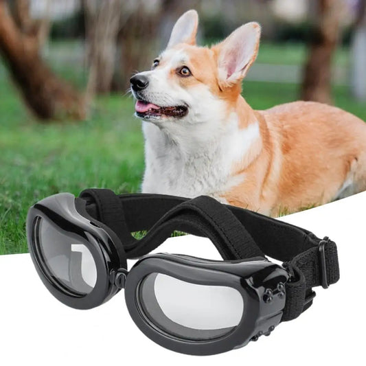 Dog Glasses Windproof Sunglasses