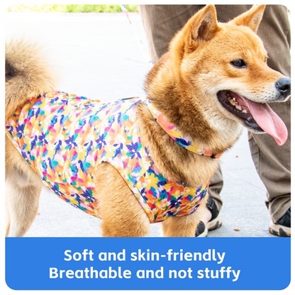 Brand New Hot Selling Garden Dog Clothes Multicolour Printing Pet Clothes Colorful Pubby Clothes