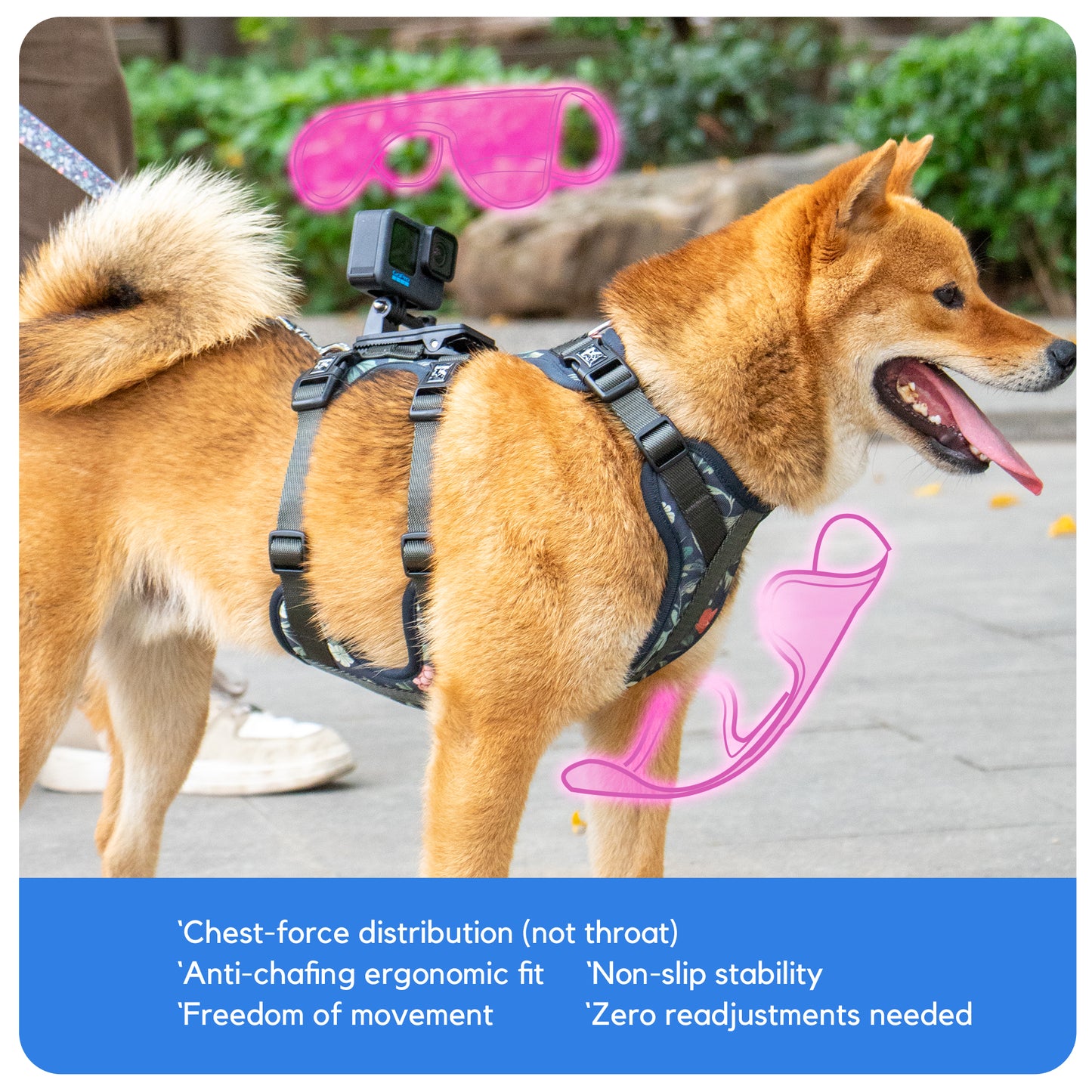 Kingspeed Custom Oil Paint Dog Vest Puppy Harness With Colorful Printing Dog Harness Hot Sell Pet Vest With Sport Camera