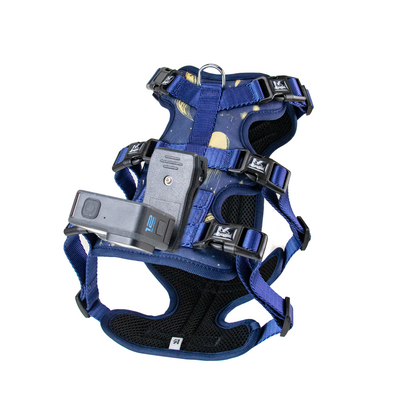 Kingspeed Custom Sea Summer Dog Vest Puppy Harness With Colorful Printing Dog Harness Hot Sell Pet Vest With Sport Camera