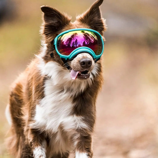 Dog Goggles Anti UV Sunglasses