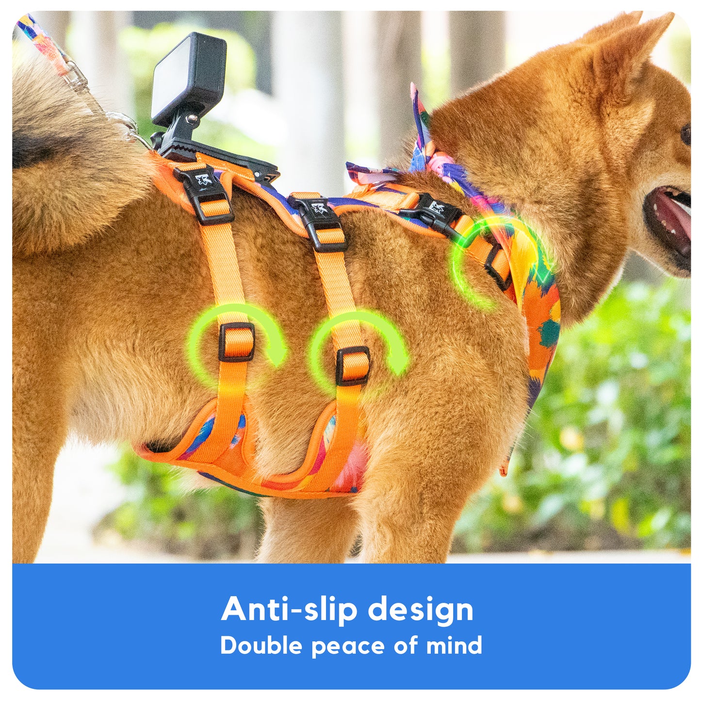 Kingspeed Custom Oil Paint Dog Vest Puppy Harness With Colorful Printing Dog Harness Hot Sell Pet Vest With Sport Camera