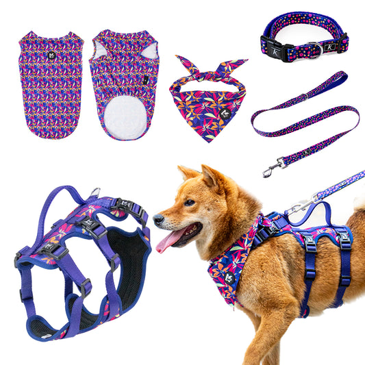 Hot Sell Factory Flower and Butterfly Kingspeed Dog Vest Dog Collar and Pet Leash with Dog Bandana for Walking