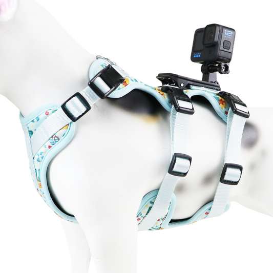 Kingspeed Custom Sea Summer Dog Vest Puppy Harness With Colorful Printing Dog Harness Hot Sell Pet Vest With Sport Camera