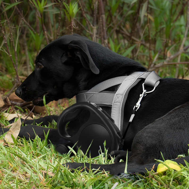 5 Meters Retractable Pet Leash with Removable Bag Dispenser