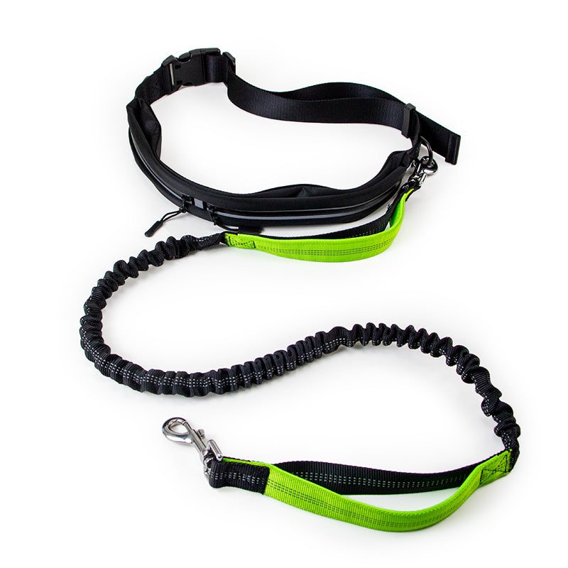 Pet Leashes Retractable Dog Leash with Zipper Bag