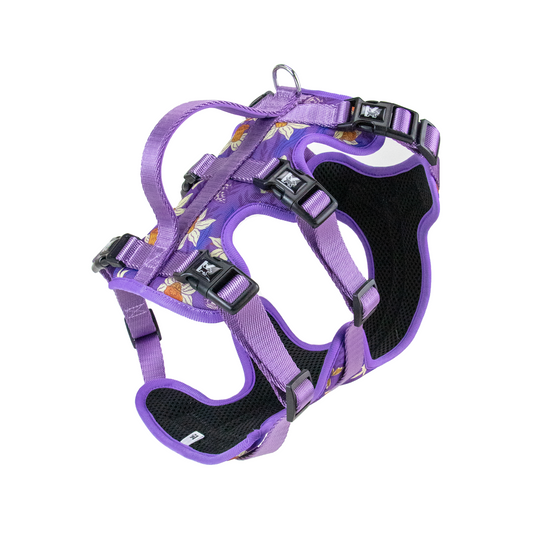 Hot Selling Kingspeed Dog Vest Luxury Puppy  Harness With Printing No Pull Dog Harness