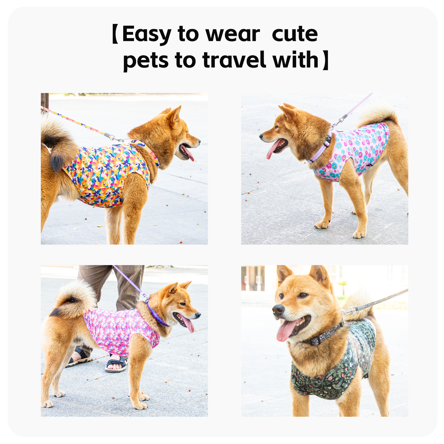 Brand New Hot Selling Garden Dog Clothes Multicolour Printing Pet Clothes Colorful Pubby Clothes
