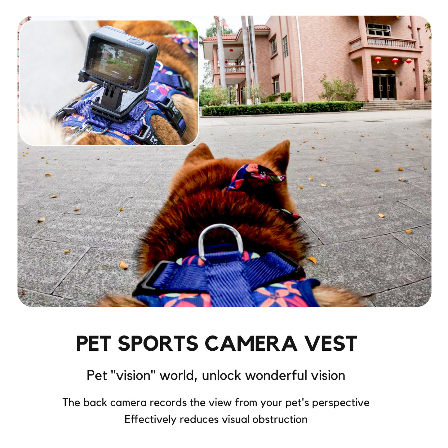 Kingspeed Custom Sea Summer Dog Vest Puppy Harness With Colorful Printing Dog Harness Hot Sell Pet Vest With Sport Camera