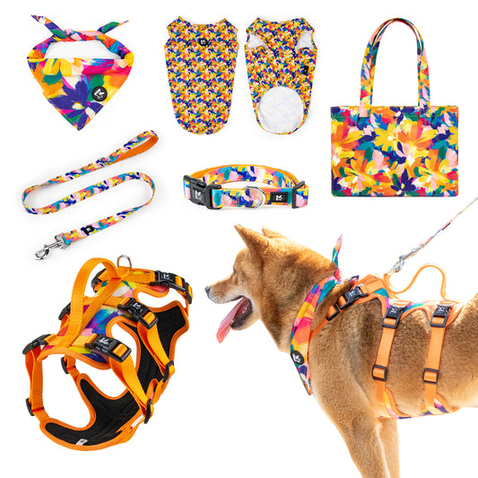 Top Sale Factory Oil Painting Wholesale Kingspeed Dog Vest Dog Collar and Pet Leash with Dog Bandana for Walking