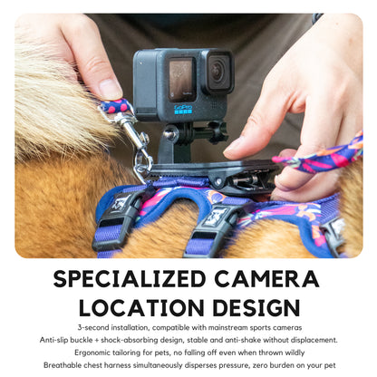 Kingspeed Custom Sea Summer Dog Vest Puppy Harness With Colorful Printing Dog Harness Hot Sell Pet Vest With Sport Camera
