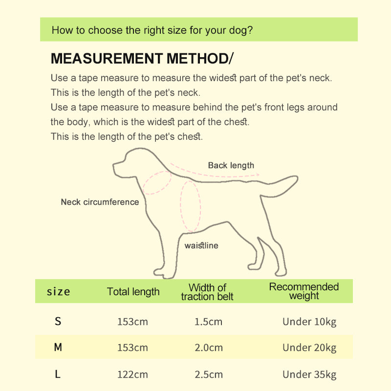 Hot Selling Factory 2.5cm Durable Flower Printing Nylon Dog Leash Colorful Pet Dog Leads Big Size Puppy Leash