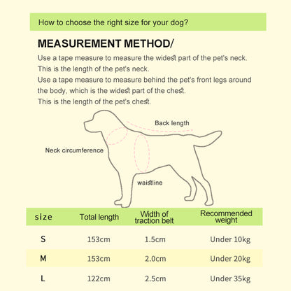 Hot Selling Factory 2.5cm Durable Flower Printing Nylon Dog Leash Colorful Pet Dog Leads Big Size Puppy Leash