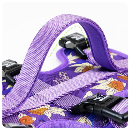 Wholesale Factory Direct Kingspeed Dog Vest Luxury Puppy  Harness With Printing No Pull Dog Harness