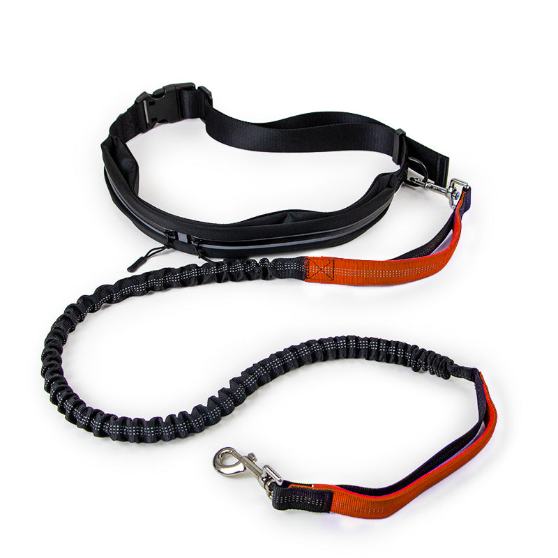 Pet Leashes Retractable Dog Leash with Zipper Bag