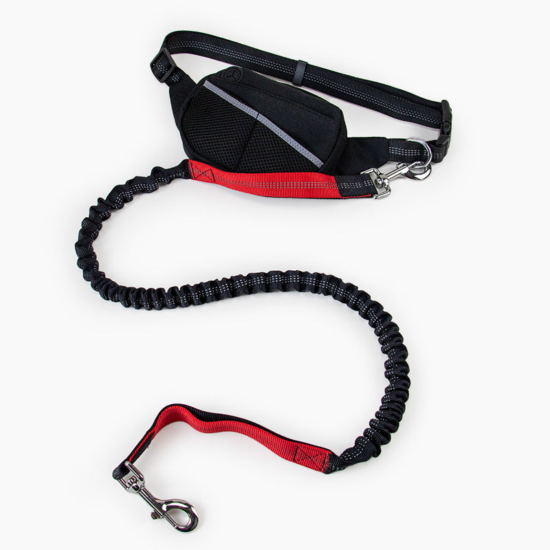 Hands Free Dog Running Leash with Adjustable Pouch