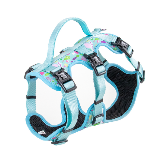 Factory Price Kingspeed Dog Vest Luxury Puppy  Harness With Printing No Pull Dog Harness