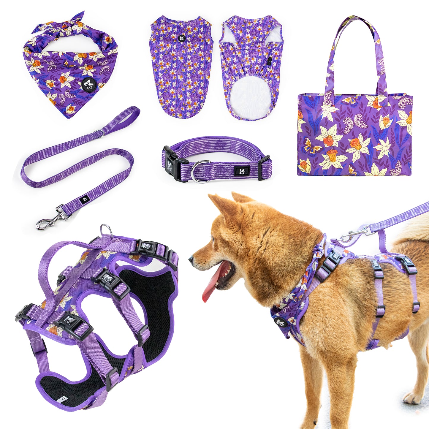Top Sale Factory Oil Painting Wholesale Kingspeed Dog Vest Dog Collar and Pet Leash with Dog Bandana for Walking