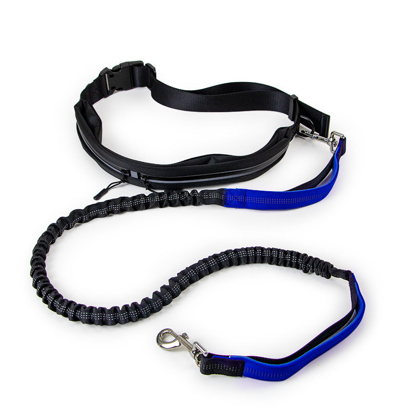 Pet Leashes Retractable Dog Leash with Zipper Bag